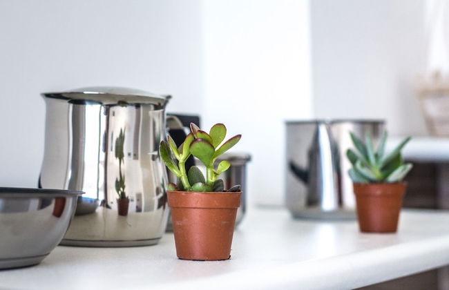 L'arco del corso - Photo 28