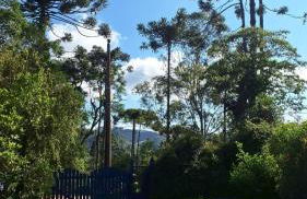 Canto dos Pássaros- Casa de campo em Gonçalves - Foto 2