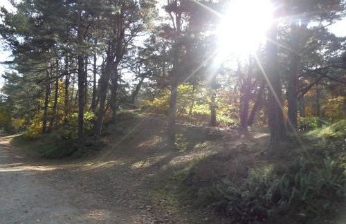 Ferienwohnung Gartentraum mit tollem Rasengarten - Foto 36
