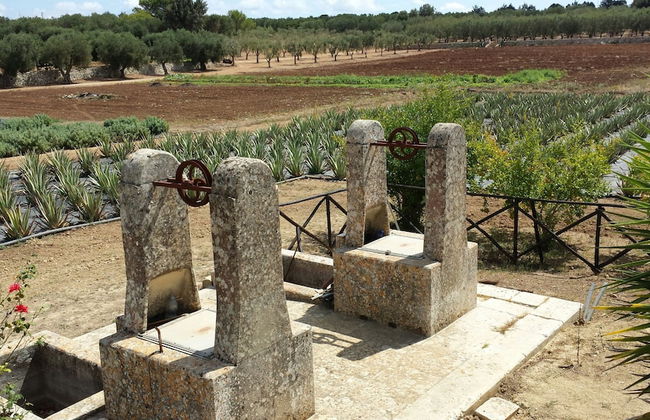 Naturalis Bio Resort & Spa - Foto 55