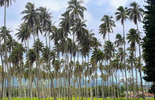 Kapaa Sands 10 - Foto 35