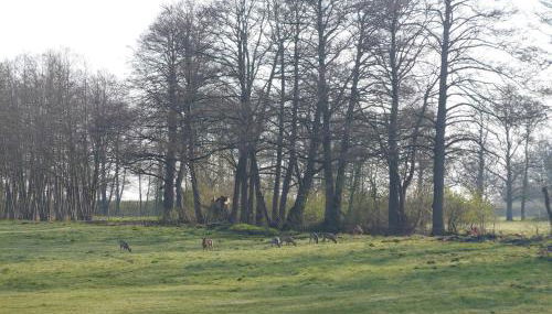 Kleenes Haffhus - Foto 4