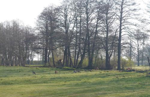 Kleenes Haffhus - Foto 4