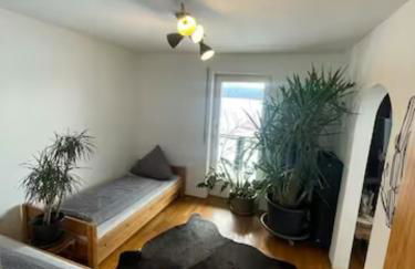 Apartment AusZeit - Natur Pur - mitten im Grünen - Foto 6