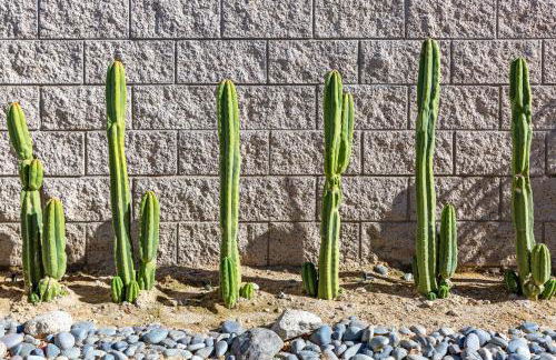 Papillon Palm Springs by ACME House Company - Foto 28