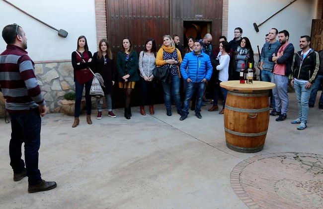 Visite de la cave à vin Campos de Dulcinea - Photo 3