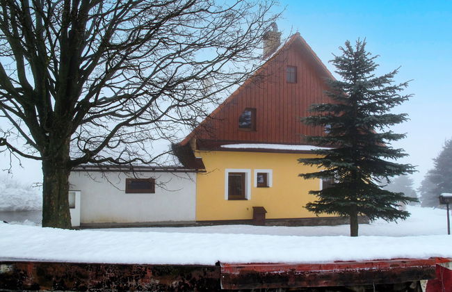 Rokytnice v Orlických horách - Foto 38