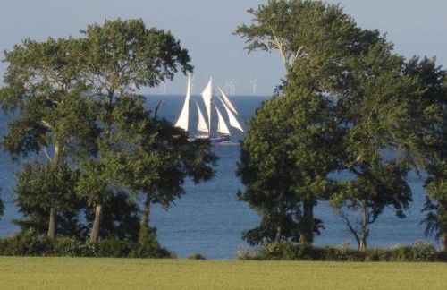 Ferienbauernhof Liesenberg Meerblickhaus Strandmuschel - Foto 58