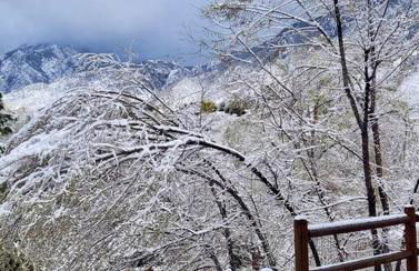 Large 3200sf A-Frame House close to Snowbird Alta Ski &Stunning Mountain View! - Foto 12