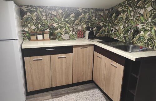 Σοφίτα Καλλύνω - Foto 13