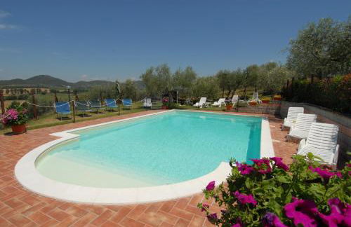 La Piaggiola degli Olivi - Foto 3