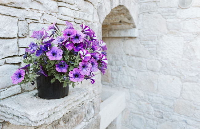 Ariadni Gaia Cottage - Foto 30