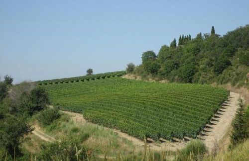 Agriturismo Mocine - Foto 62