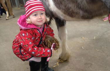 Bauernhof Koehlbrandt - Foto 81