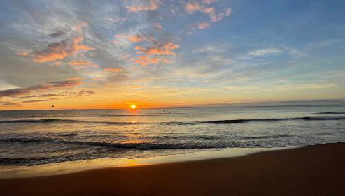 Acogedor estudio La Marina - Foto 2