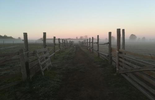 Pensjonat Przy Stajni - Foto 58