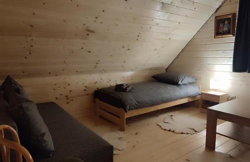 Dzika Polana - Foto 24