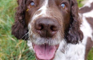 Sea Glass Lodge - Foto 14