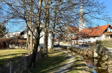 Teddis Traubing - Foto 18