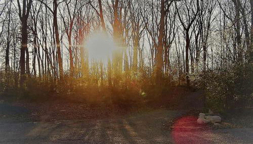 Cozy Wood Shed Tiny House Near Old Hickory Lake w/ Full Kitchen, Fire Pit & Breakfast - Photo 5