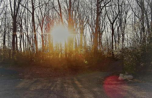 Cozy Wood Shed Tiny House Near Old Hickory Lake w/ Full Kitchen, Fire Pit & Breakfast - Foto 5