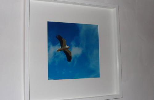 Casa da Ti Cura - Foto 7