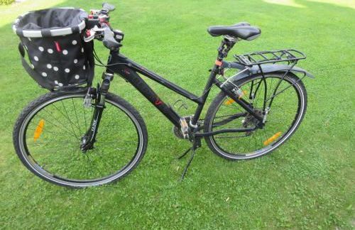 Ferienhaus-Eschede - Foto 60