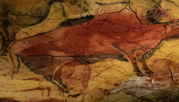 Visita guiada por la Neocueva y Museo de Altamira - Photo 3