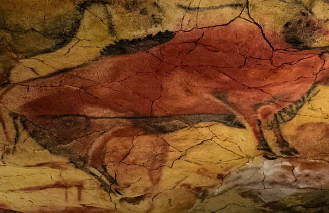 Visita guiada por la Neocueva y Museo de Altamira - Photo 3