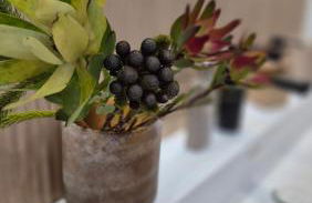 L'Arbre Voyageur - Suite de Luxe au cœur d'Autun - Foto 49