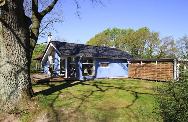 Ferienhaus Seeadler mit Sauna am Dummer See - Foto 20