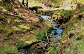 House - Alton Towers,Peak District,Wildlife Park - Photo 14