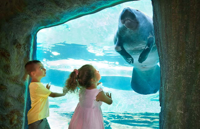 Entrada a ZooTampa - Foto 2