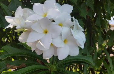 VG Sun Cumbuco by Bruna Mazzer - Photo 28