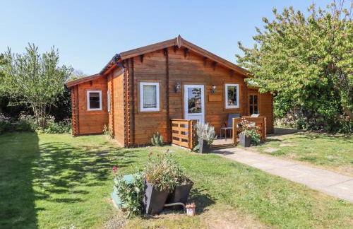 Aurora Skies - Photo 2