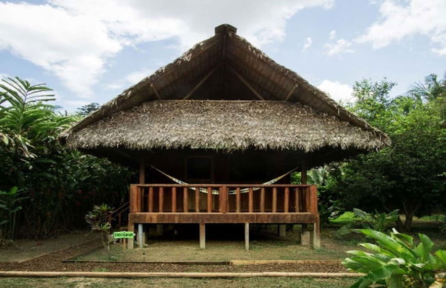 Puerto Maldonado 3 Day Tour - Photo 1