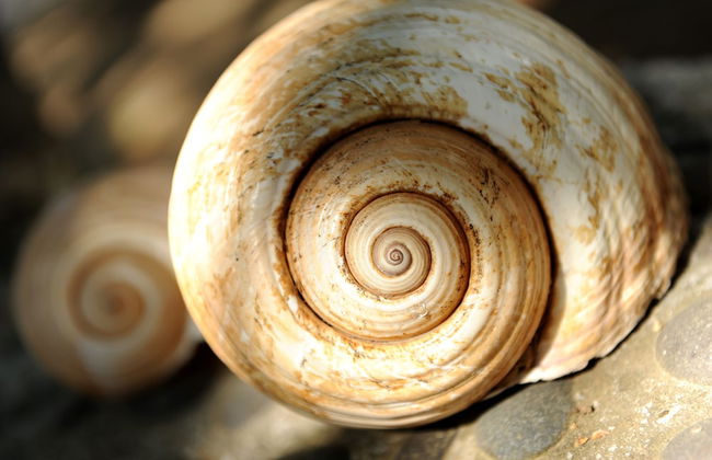 Andros Maisonettes - Foto 22