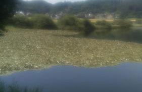 Familiehuis Dolve - Foto 135