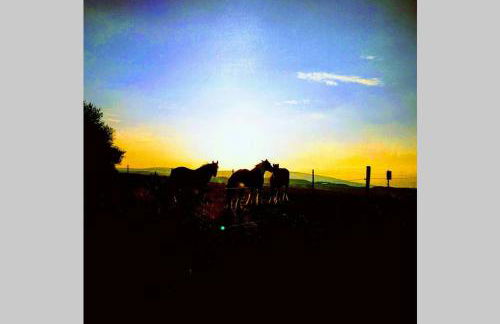 Ferienwohnung Alpaka Blick - Foto 43