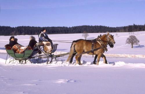 Ferienwohnung "Deluxe" in Korbach - Foto 21