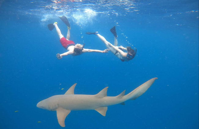 Alquiler de barco con patrón en Maafushi - Foto 6