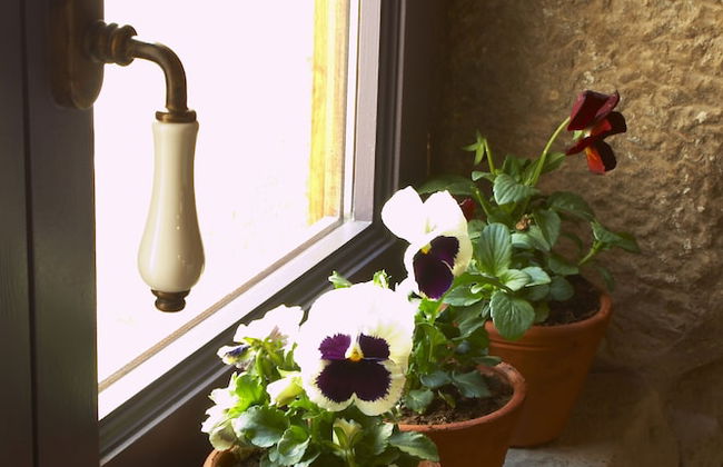 Ca n'Aleix - Photo 60