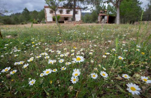 Casas Rurales El Portillo - Foto 50