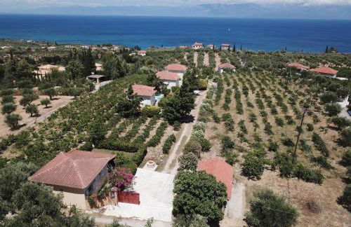 Holiday Home Orfanos - Foto 9