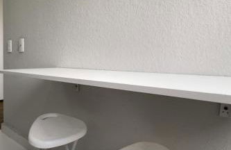 Ap Expo SP e Zoológico - Foto 56