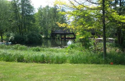 Kastanienhof Lübben - Foto 3