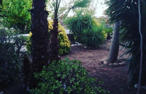 Villa Gómez - Foto 48