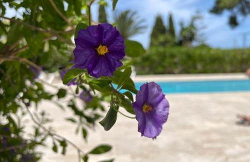 Casa Belle - Photo 28