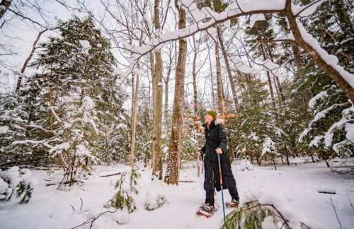 2 Lake Cabins Poolhottub Game Room & Courts - Foto 66