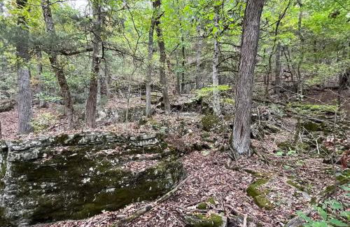 Caribou Cabin at Thunder Bluff - Foto 30